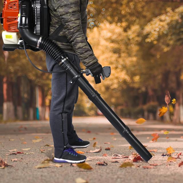 Where to find BLOWER, BACKPACK LEAF DEBRIS in Mt Pleasant
